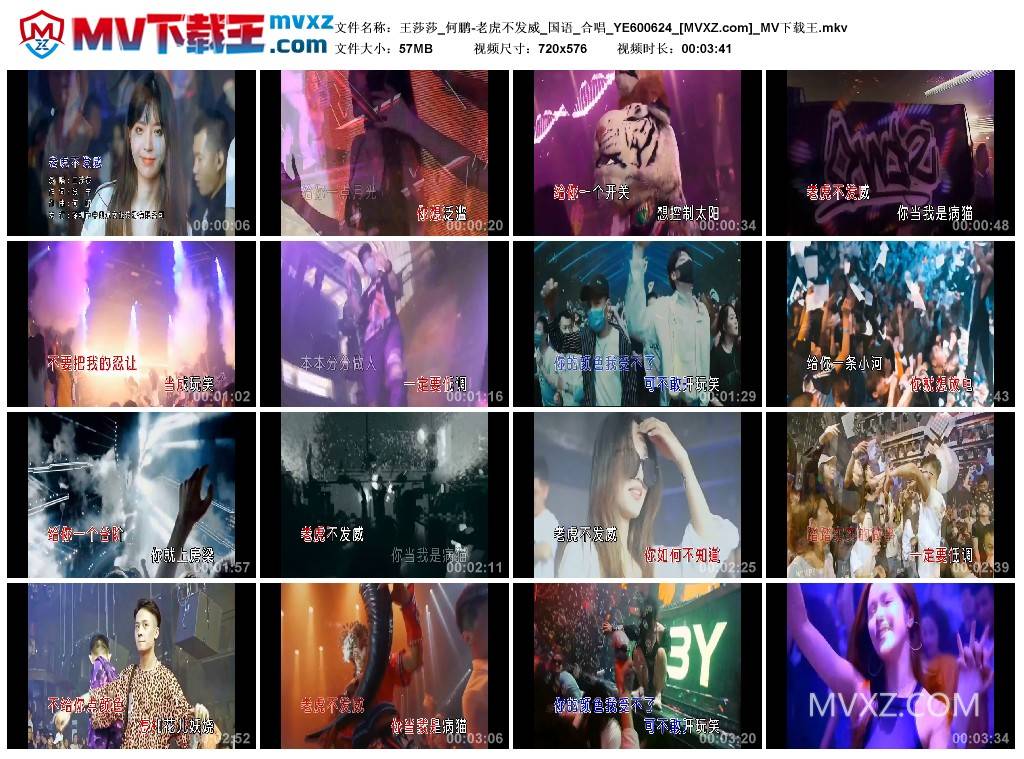 王莎莎_何鹏-老虎不发威_国语_合唱_YE600624